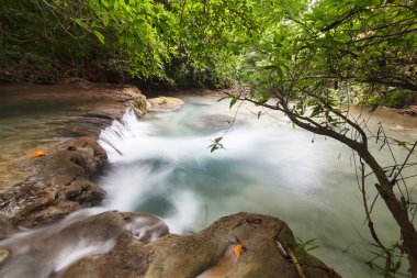 Ulusal parkta şelale