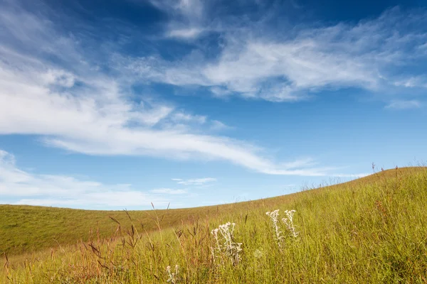 Champ d'herbe sous ciel nuageux bleu — Photo