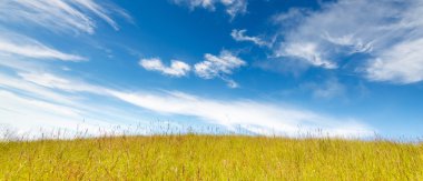 çim alan mavi bulutlu gökyüzü altında