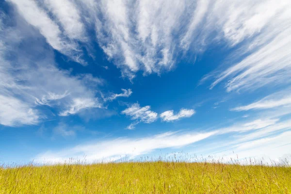 Травяное поле под голубым облачным небом — стоковое фото