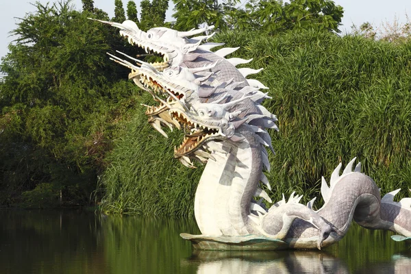 Le dragon de Chine — Photo