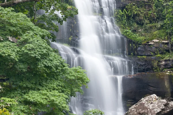 Beautiful rain forest and waterfall — Stock Photo, Image