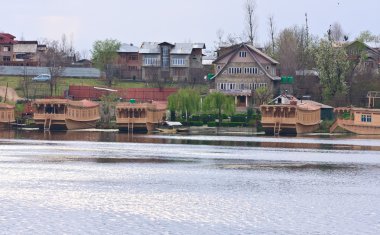 yüzen, dal Gölü, srinagar, Keşmir, Hindistan