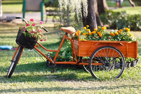 Schöner Blumenstrauß auf dem Fahrrad — Stockfoto