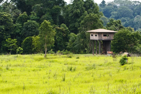 Torre de vista animal — Foto de Stock