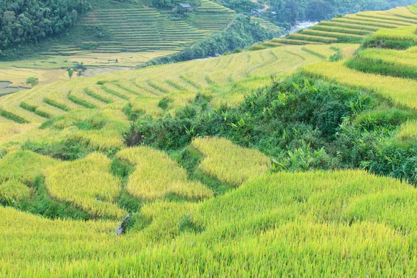 Rice terraces in the mountains — Stock Photo, Image