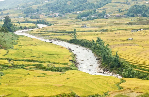 Terrazas de arroz en las montañas —  Fotos de Stock