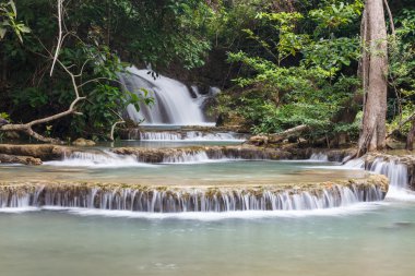 Ulusal parkta şelale