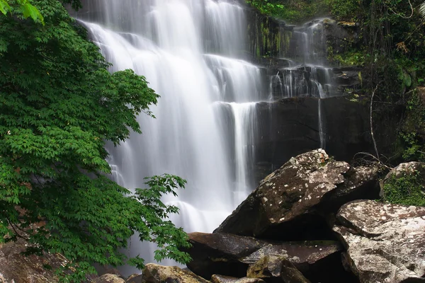 Beautiful waterfall and green maple. — Stock Photo, Image