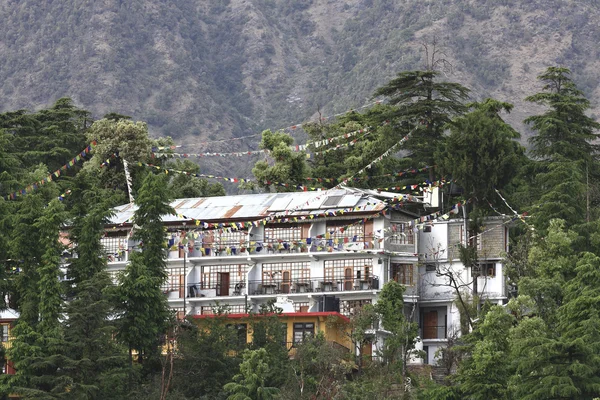 McLeod Ganj, Dharamsala, Himachal Pradesh, la India. — Foto de Stock