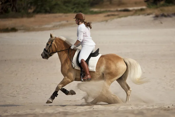 Horseriding in the dunes — Stock Photo, Image