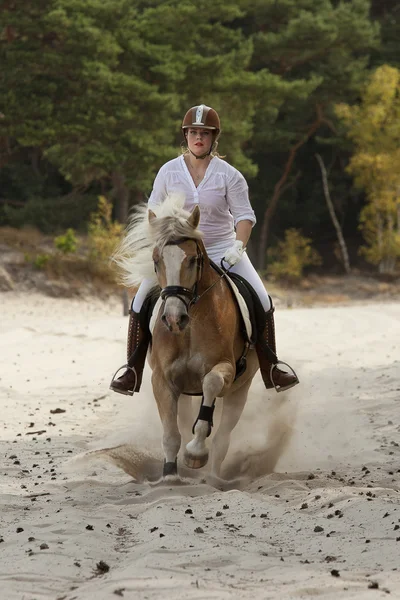 Horseriding in the dunes — Stock Photo, Image