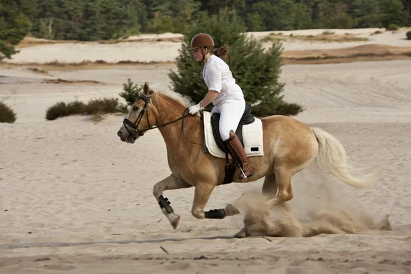 Horseriding in the dunes — Stock Photo, Image