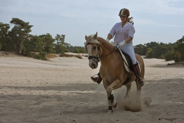 Horseriding in the dunes — Stock Photo, Image