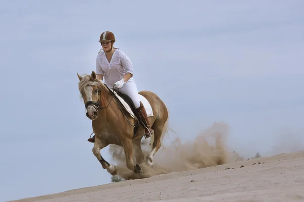 Катание на лошадях по дюнам — стоковое фото