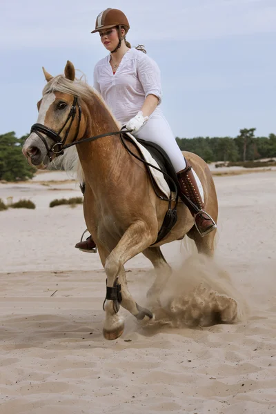 Horseride in the dunes — Stock Photo, Image
