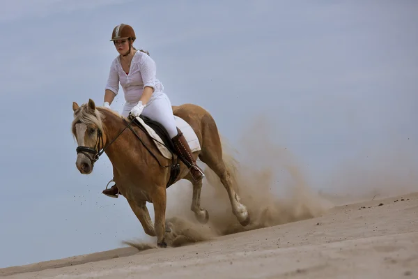 Катание на лошадях по дюнам — стоковое фото