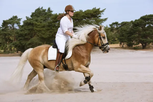 Équitation dans les dunes Photo De Stock