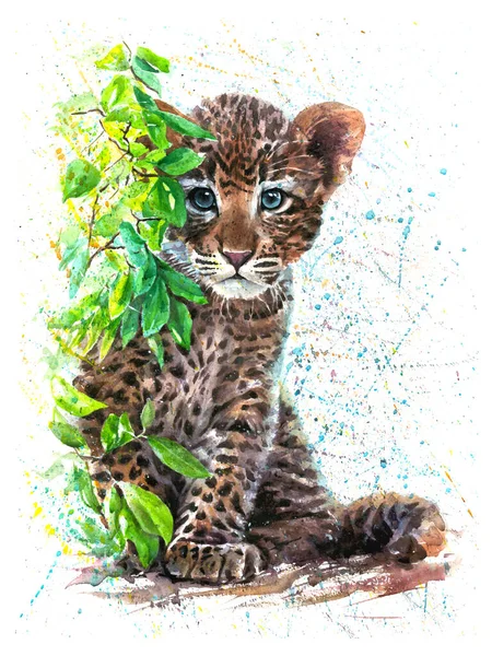 Μικρή Ζωγραφική Ακουαρέλα Leopard Royalty Free Εικόνες Αρχείου
