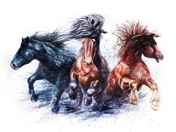 Freie Pferde Aquarellmalerei — Stockfoto