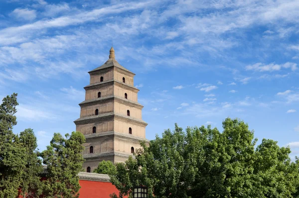 Stora wild goose pagoda — Stockfoto