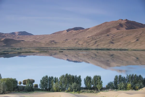 badan oturun çöl, Çin