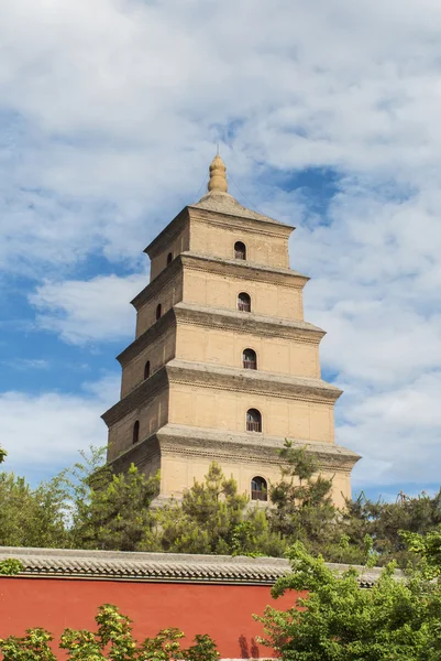 Büyük vahşi kaz Pagodası Stok Resim