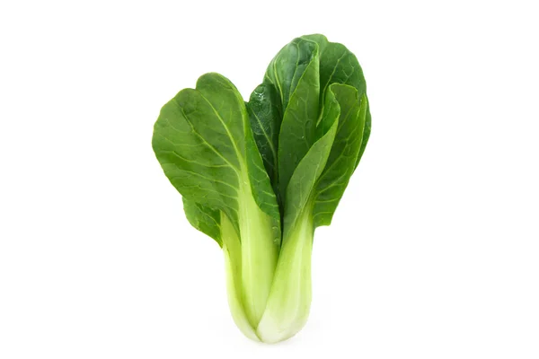 Bok choy — Stock Photo, Image