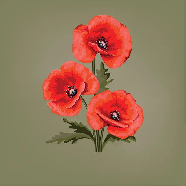 Tarjeta de flores para invitación. Amapola roja . — Vector de stock