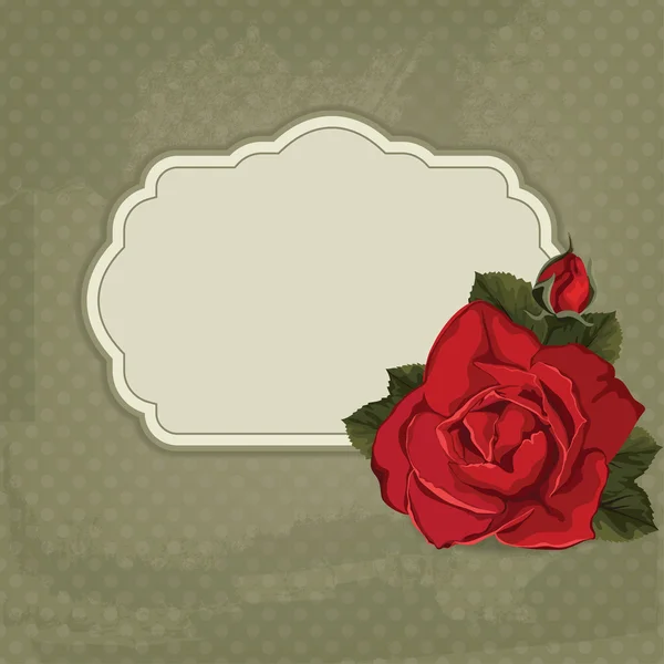 Tarjeta vectorial Vintage con rosa y frame.Card para la invitación con rosa roja — Archivo Imágenes Vectoriales