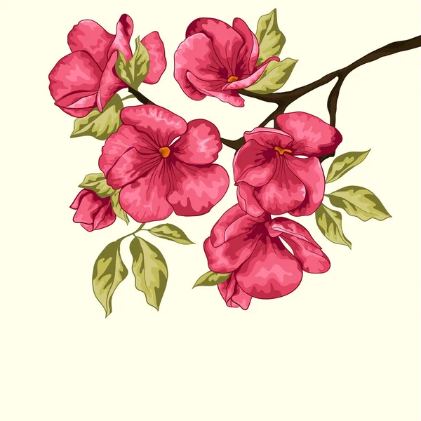 Flor de cerezo. Flores Sakura. Fondo floral. Rama con flores rosadas — Archivo Imágenes Vectoriales