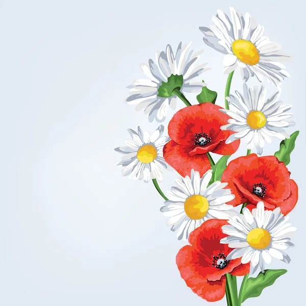 Elegance background with poppy and camomile flowers. — Stock Vector