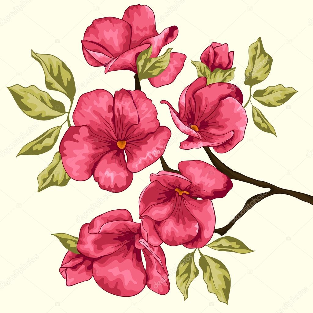 Cherry blossom. Sakura flowers. Floral background. Branch with p