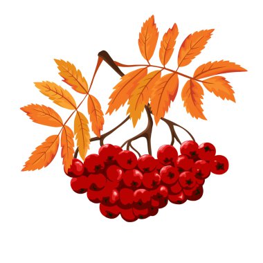 孤立与叶秋 ashberry