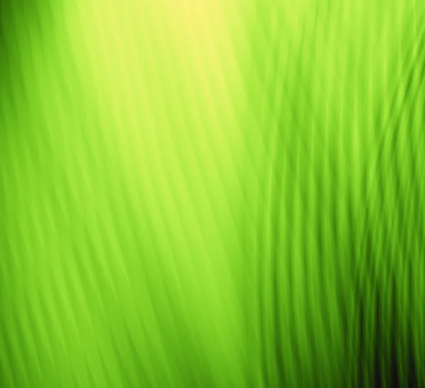 Grüne abstrakte Vorlage — Stockfoto