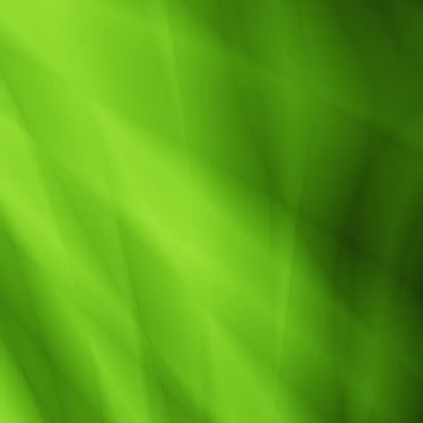 绿叶抽象丛林背景 图库图片