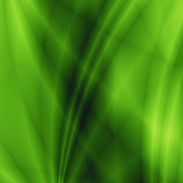 自然丛林抽象网站壁纸背景 — 图库照片
