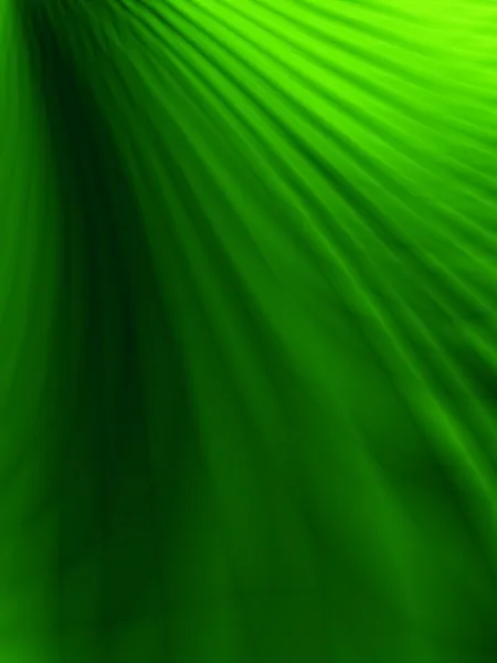 녹색 배경 추상 웹사이트 카드 디자인 — 스톡 사진
