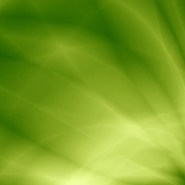 Цветочная зеленая паутина — стоковое фото