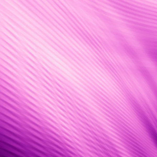 Purple texture abstract web pattern — Stock Photo, Image