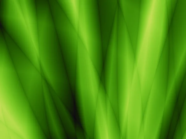 Herbe vert fond résumé modèle de site Web — Photo