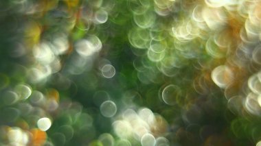 Bokeh efektli fotoğrafta sonbahar ağaçları