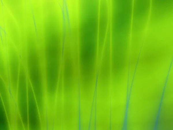 Трава Зеленого Искусства Абстрактный Иллюстрационный Фон Фантазии — стоковое фото