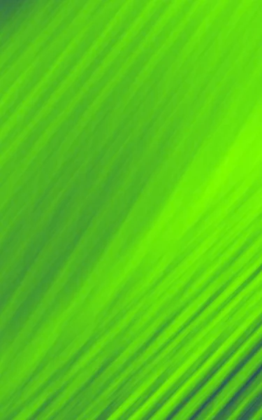 叶棕榈绿抽象艺术图景背景 — 图库照片