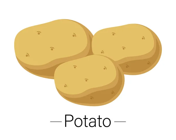 Potatoes Isolated White Background Vector Illustration Flat Style — Stock Vector