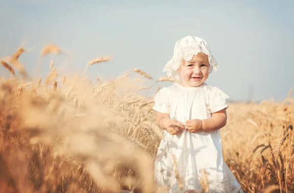 Laughing kid in sunny wheat field — Stock Photo, Image