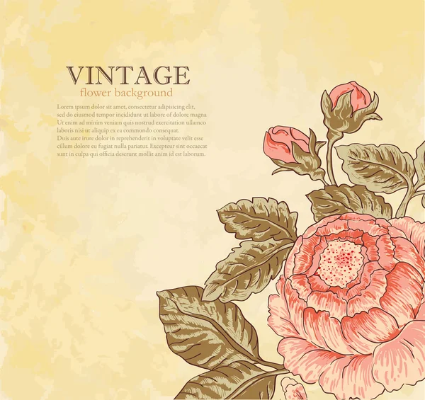 Vintage bloem op grunge achtergrond — Stockvector