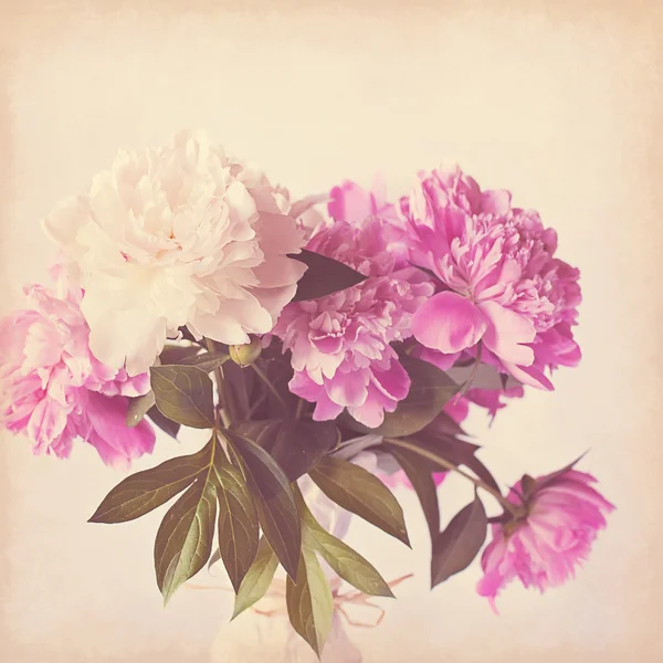 pembe Şakayık antika arka plan