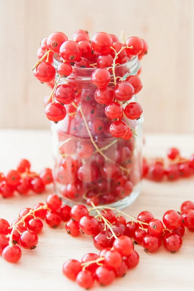 Redcurrant bunches in glass — Stock Photo, Image