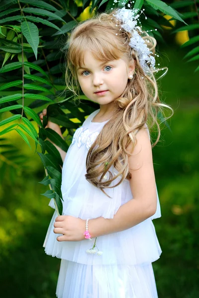 Retrato de uma menina princesa de beleza e moda — Fotografia de Stock